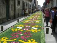 Click para ver a foto maior